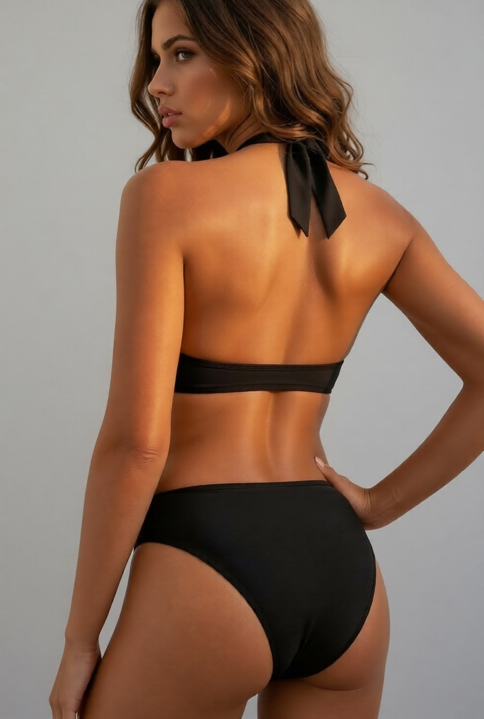 Sheer Mesh Edged Halter V Neck Push Up Bikini Set